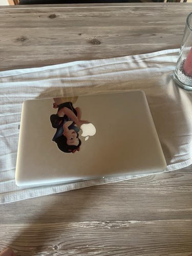 Apple macbook pro - apple, 13,3“